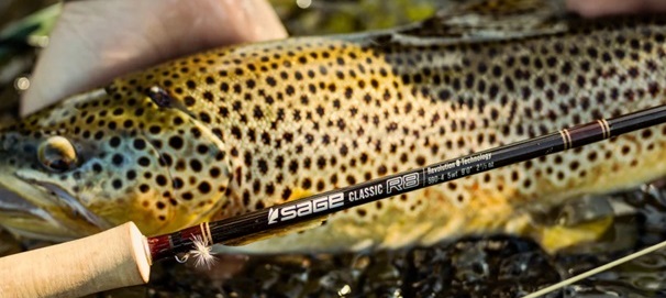 Sage Classic R8 Fly Rods