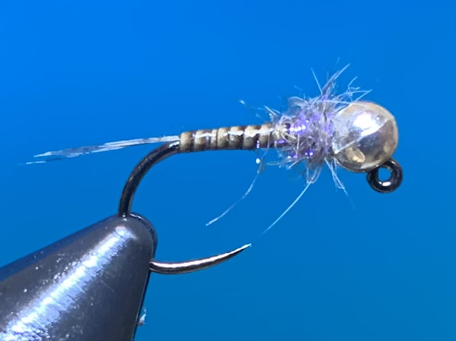 Quill Jig Nymph (Tunghead)