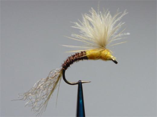 Half/Half CDC Emerger