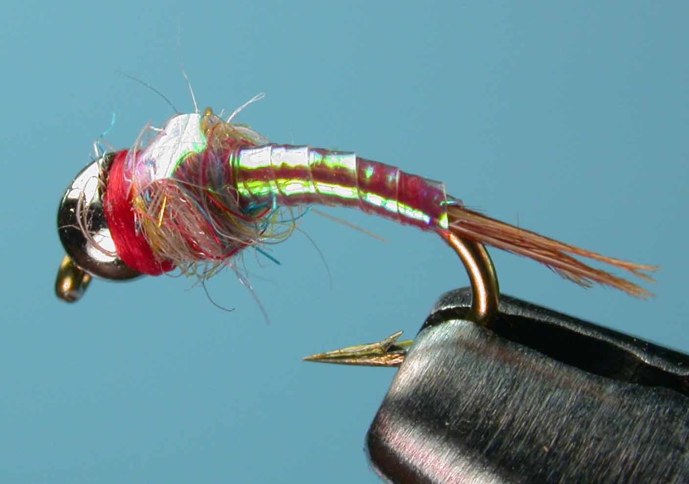 Rainbow Warrior Nymph