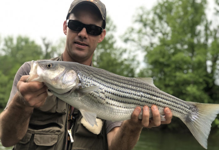Staunton River Fishing Trips
